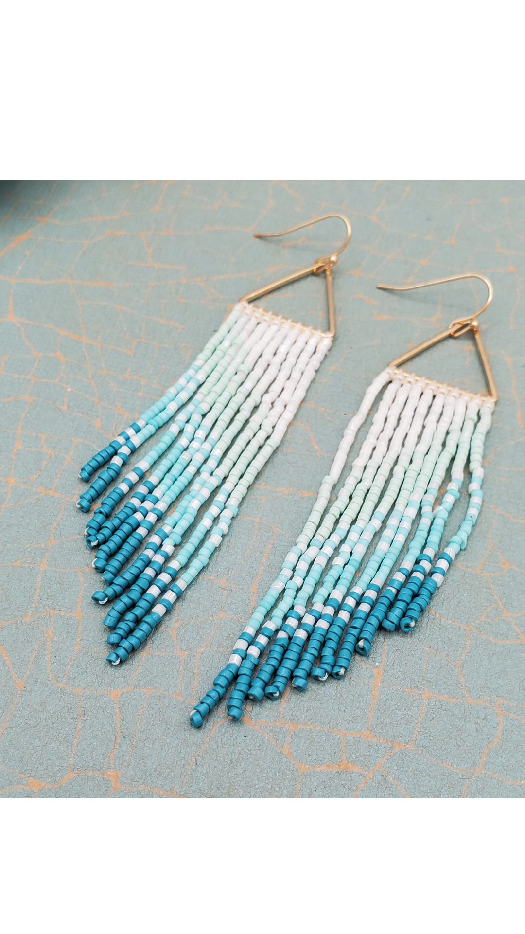 Ombre Tassel Seed Beed Earring