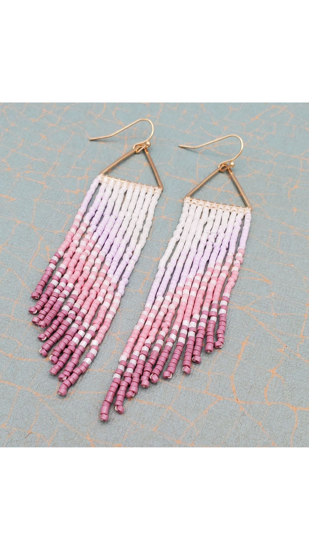 Ombre Tassel Seed Beed Earring