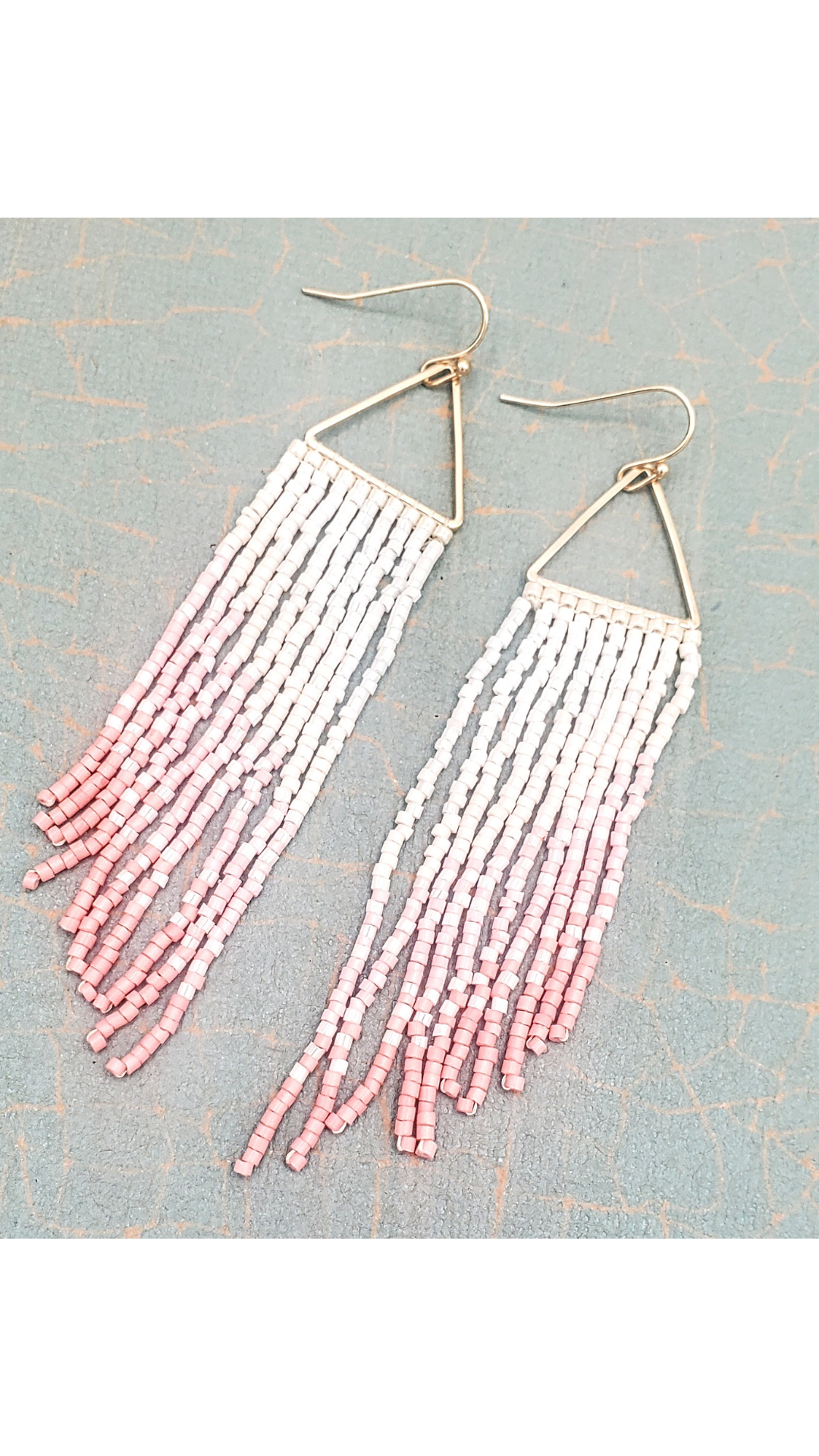 Ombre Tassel Seed Beed Earring